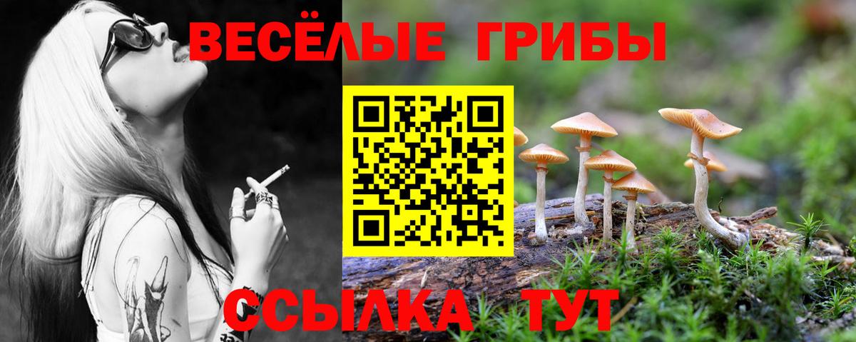 Метадон  Кокаин  Метамфетамин  Альфа ПВП СОЛЬ кристаллы  МЕФ  Клин  Вход с VPN  Меф МЯУ МЯУ   ГАШ  Бошки Шишки 
