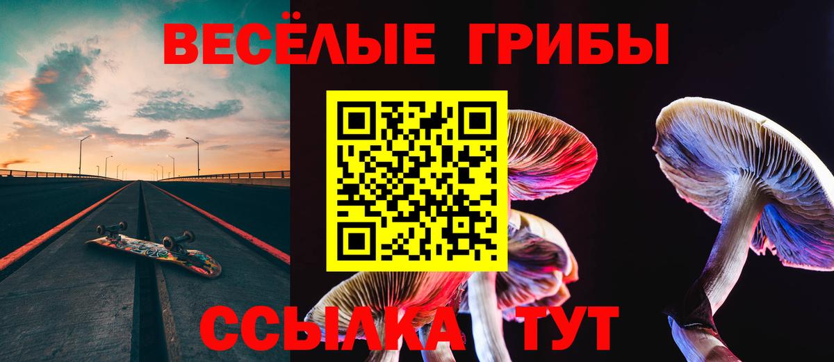 Псилоцибиновые грибы мицелий Клин